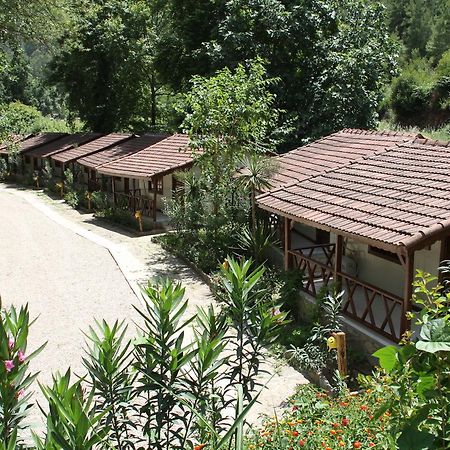 Eco Family Park Beskonak Ngoại thất bức ảnh