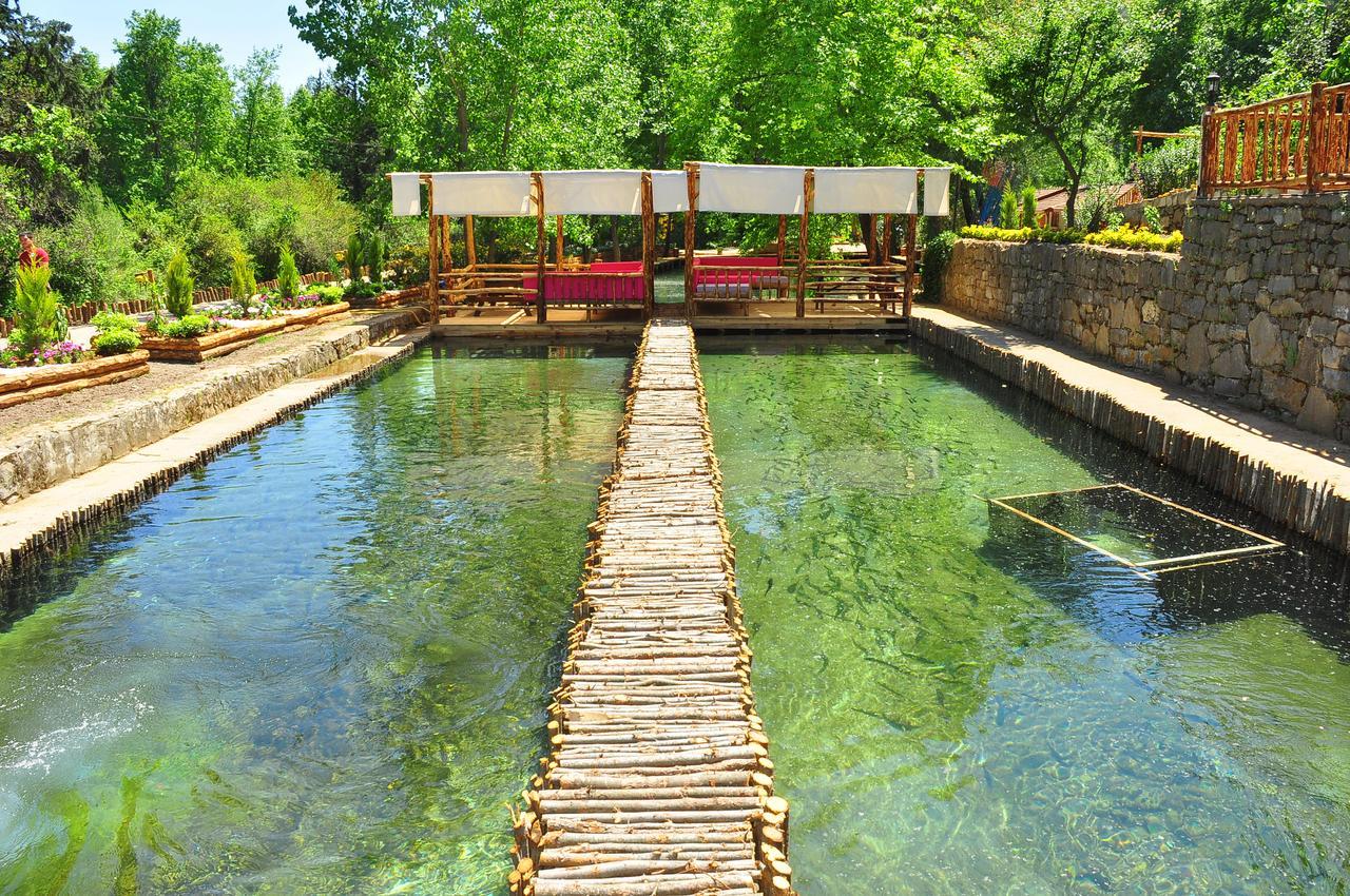 Eco Family Park Beskonak Ngoại thất bức ảnh
