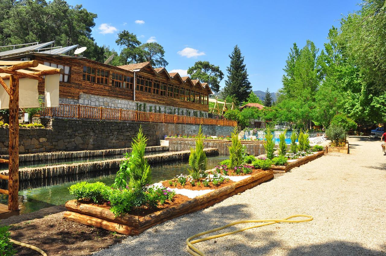 Eco Family Park Beskonak Ngoại thất bức ảnh