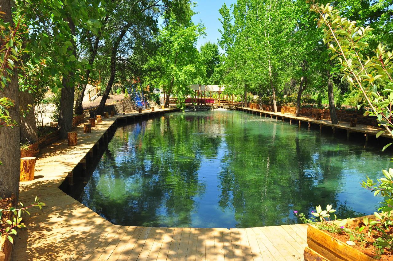 Eco Family Park Beskonak Ngoại thất bức ảnh