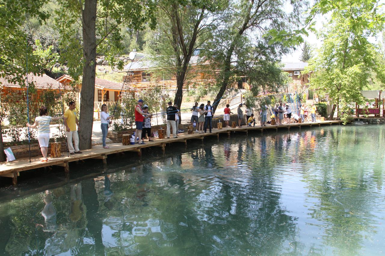Eco Family Park Beskonak Ngoại thất bức ảnh