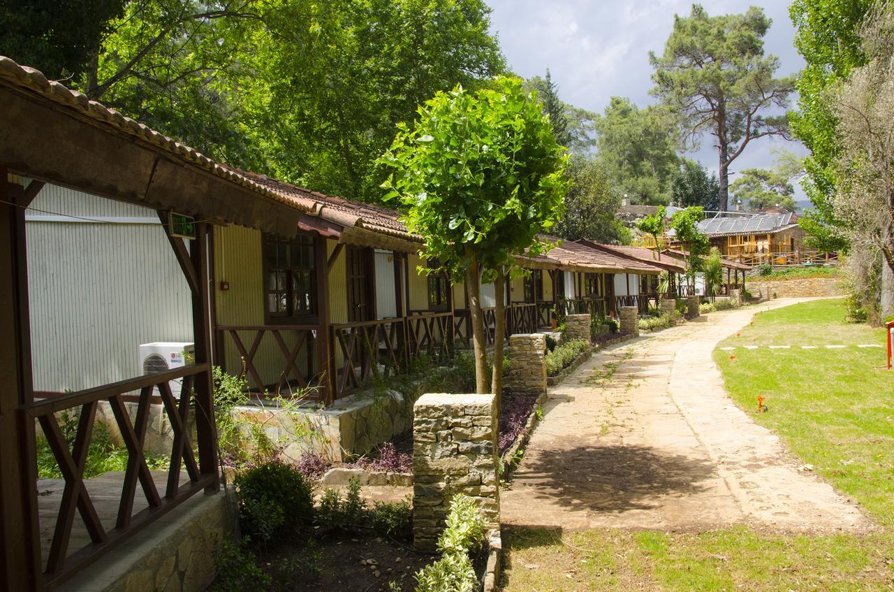 Eco Family Park Beskonak Ngoại thất bức ảnh