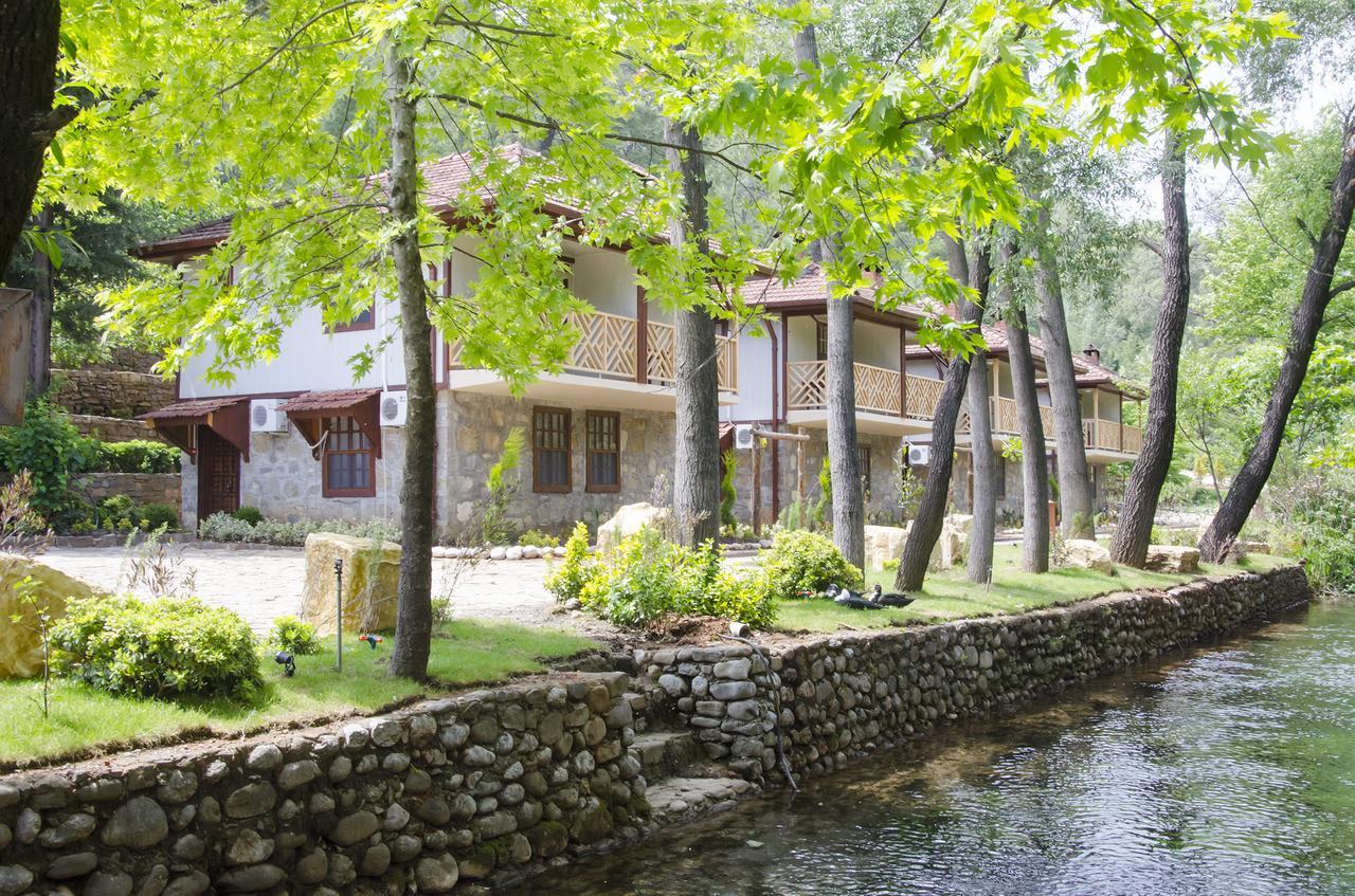 Eco Family Park Beskonak Ngoại thất bức ảnh