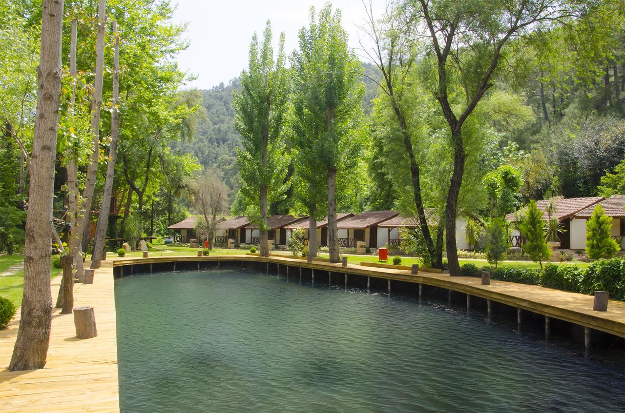 Eco Family Park Beskonak Ngoại thất bức ảnh