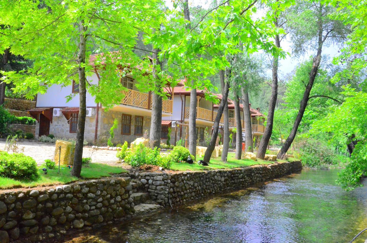 Eco Family Park Beskonak Ngoại thất bức ảnh
