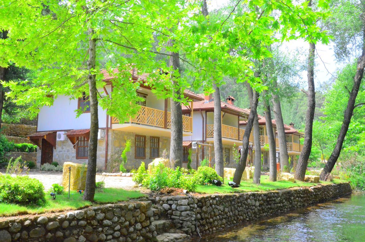 Eco Family Park Beskonak Ngoại thất bức ảnh